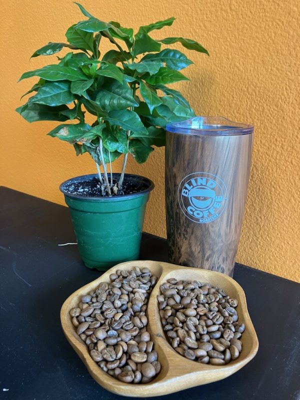BCR Tumbler - Image 2