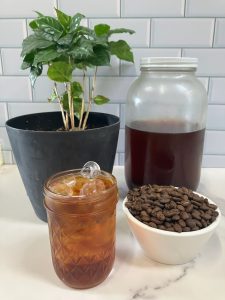Kitchen counter with jar of cold brew concentrate, coffee beans, coffee tree, and iced cold brew.
